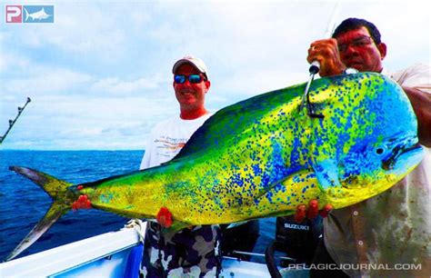 Costa Rica - Zancudo Lodge | PELAGIC Fishing Gear