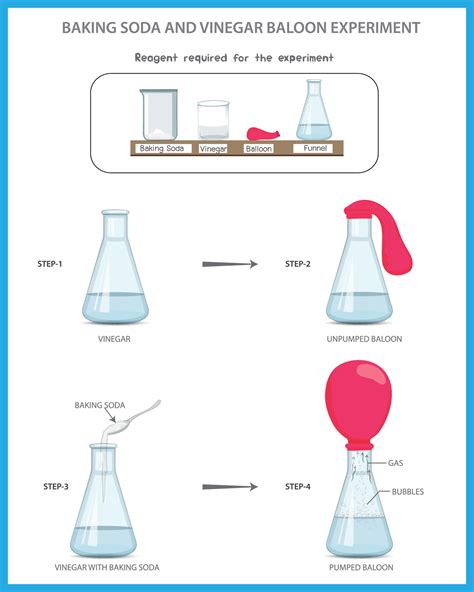 Baking Soda and Vinegar Balloon Science experiment, Chemistry ...