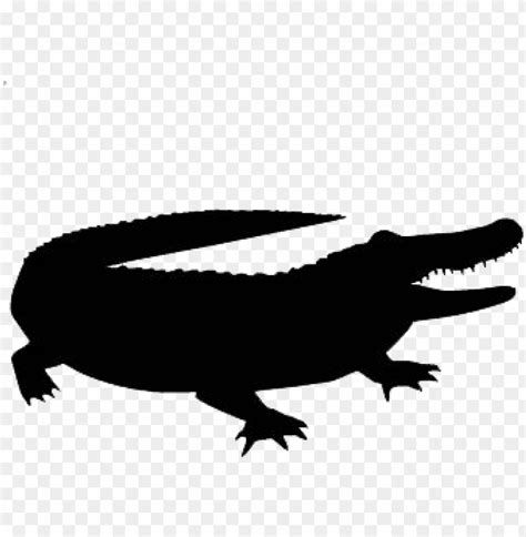 alligator vector silhouette - transparent alligator silhouette PNG image with transparent ...