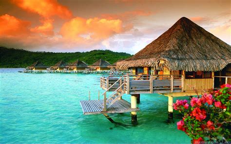 Tahiti Wallpapers - Top Free Tahiti Backgrounds - WallpaperAccess