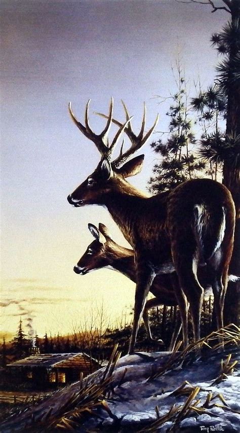 Terry Redlin All Clear Pinnacle | Deer artwork, Deer drawing, Terry redlin