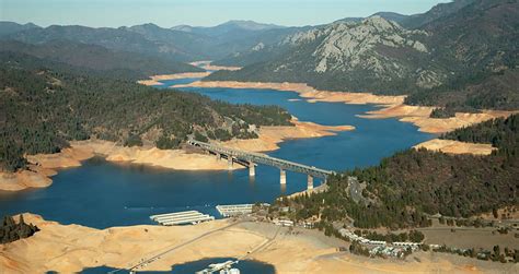 Shasta Reservoir Banner - Pacific Forest Trust