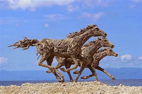 Amazing driftwood sculptures