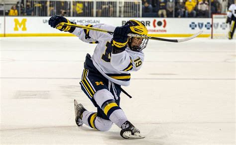 Two Michigan hockey players named to USA Olympic roster - mlive.com