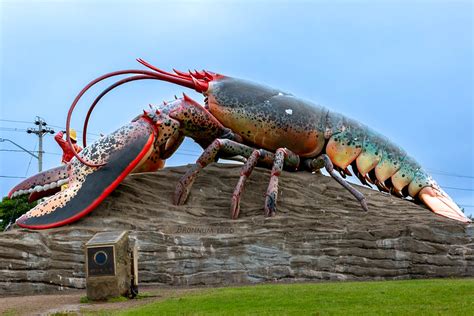 World's largest lobster statue | Found in Shediac, New Bruns… | Flickr