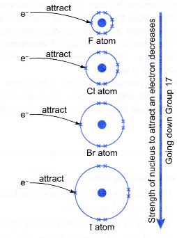 Physical and Chemical Properties of Group 17 Elements - CBSE Library