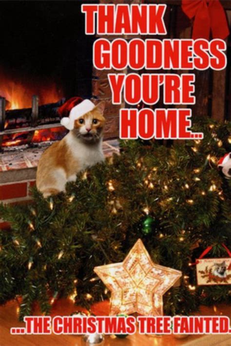 40 Funny Christmas Cards for the Holidays 2022 - Parade