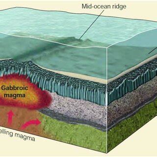 Composition of the Oceanic Crust Source: Monroe et al. (2006 ...