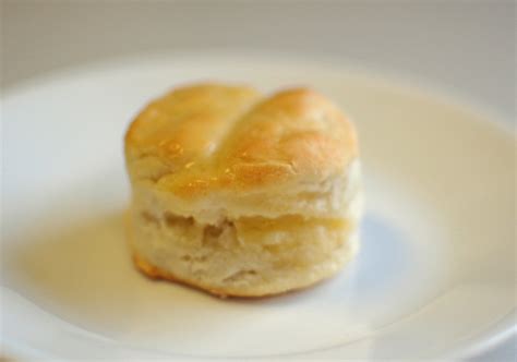 White Lily’s Biscuit Recipe and a Lab | The Teacher Cooks