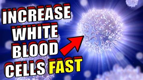 How To Increase Your White Blood Cell Fast - Epic Natural Health