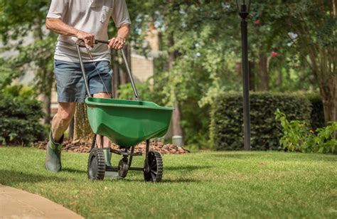 When to Fertilize Your Lawn and Other Fertilizer Tips | MYMOVE