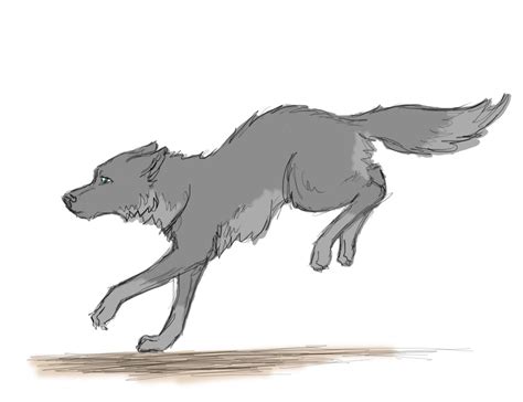 Running Wolf by OceanDust on DeviantArt | Wolf running, Wolf drawing, Drawings