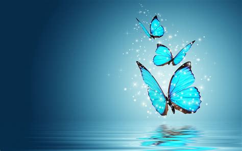 Blue Butterfly Wallpapers - Top Free Blue Butterfly Backgrounds - WallpaperAccess