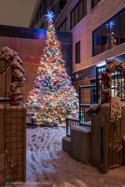 Christmas Tree in Denver - Neil Corman Photography