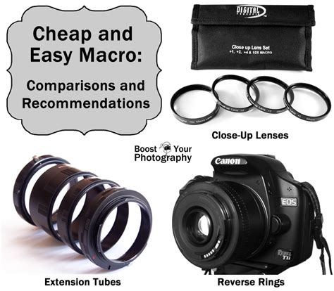 Getting Started with Macro Photography | Boost Your Photography