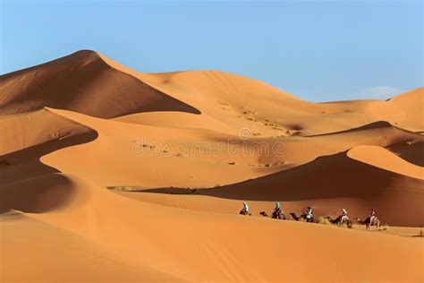 Camel Riding at Desert of Nubra Valley Editorial Photography - Image of brown, confluence: 41932482