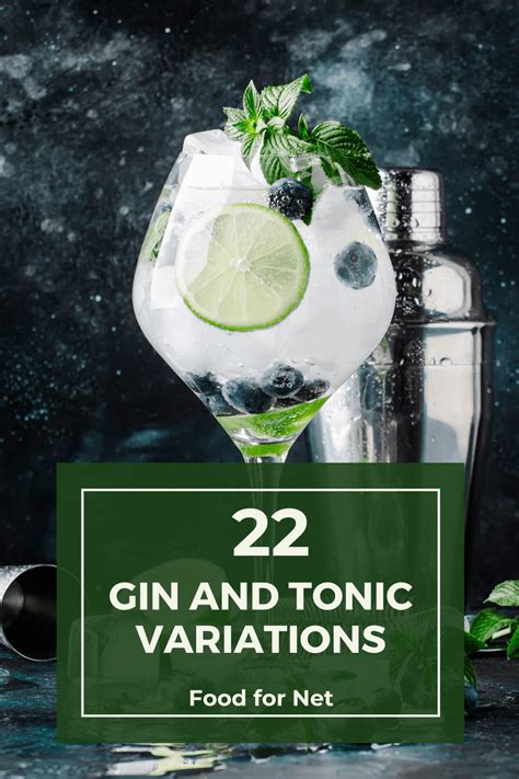 Top 22 Gin And Tonic Variations To Keep Your Cocktails Interesting ...