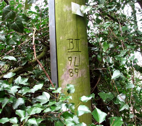 Wymondham ROC post - telephone pole © Evelyn Simak cc-by-sa/2.0 :: Geograph Britain and Ireland