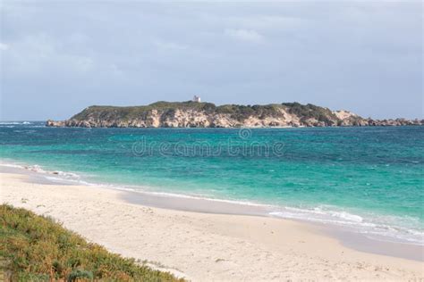 Hamelin Bay Beach and Hamelin Island Stock Image - Image of fish, australia: 247835665