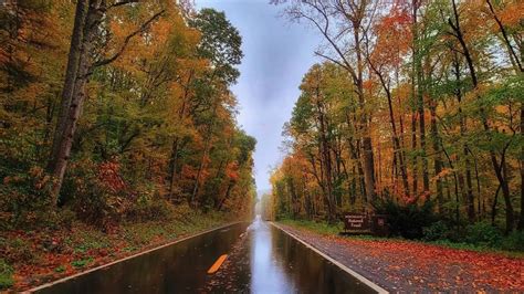 Forestry officials announce closing dates for Monongahela National ...