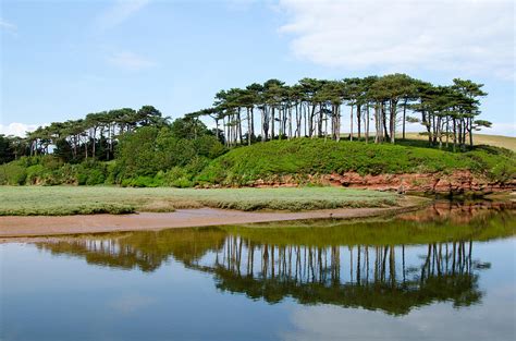 Pine Ridge Photograph by Paul Martin - Fine Art America