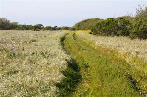 Salinas River National Wildlife Refuge in Salinas, CA - California Beaches