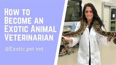 How to Become an Exotic Animal Veterinarian – HousePetsCare.com