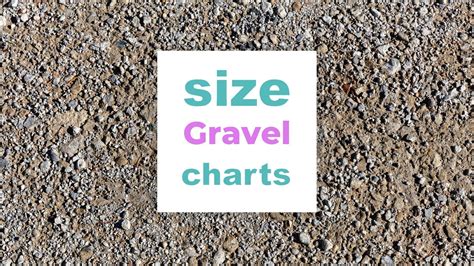 Gravel Size Chart and Different Types Explained with Pictures