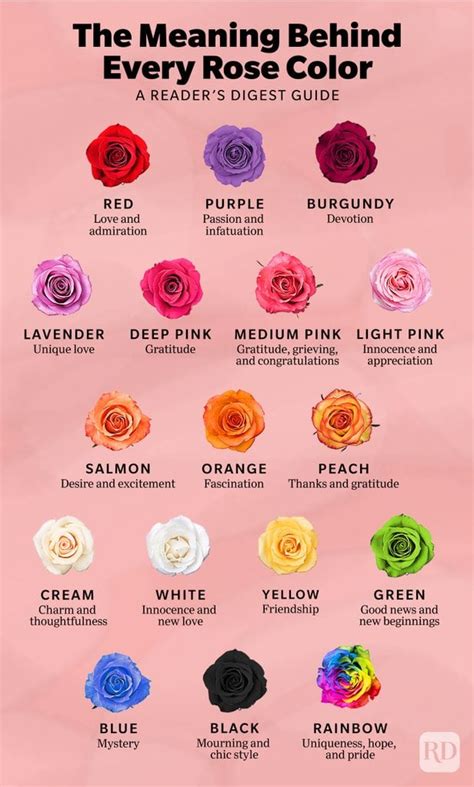 17 Rose Color Meanings to Help You Choose the Perfect Bouquet