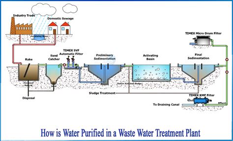 How is water purified in a waste water treatment plant