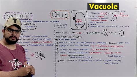 Vacuole: Types and Functions of Vacuole (Plant Central Vacuole) Detailed Series - YouTube