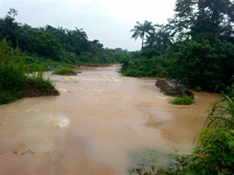 Gambar Air Sungai Keruh - Penggondolan Hutan Jejas Sungai Kelantan - Stefnir Herbertsson