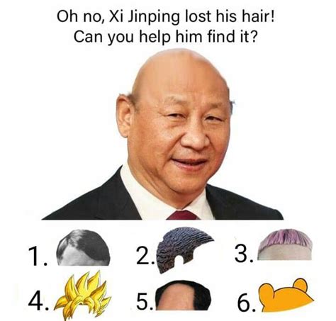 Oh no, Xi Jinping lost his hair! Can you help him find it? | Xi Jinping ...