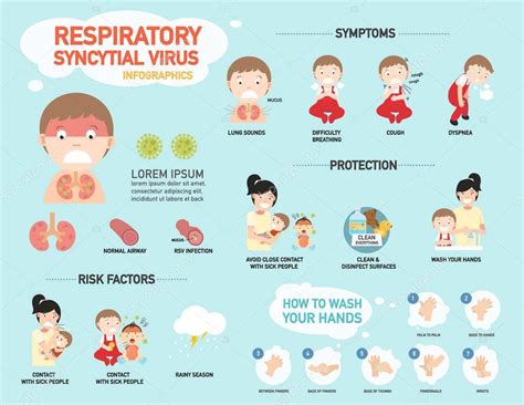 RSV,Respiratory syncytial virus infographic,illustration. — Stock ...