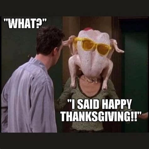 30+ Most Hilarious Funny Turkey Memes 2023