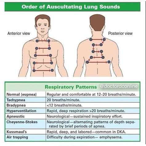 Doctor on Instagram: “Orders of Auscultating Lungs Sound and different Respiratory Patterns... # ...