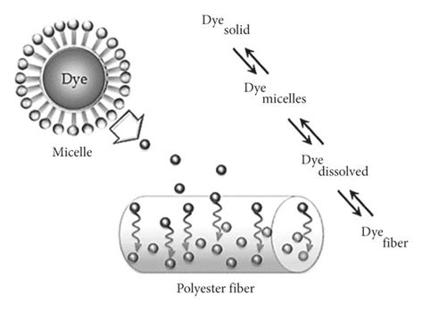 Disperse dyeing mechanism for polyester fibers [20]. | Download Scientific Diagram