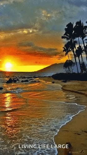 Sea Sunset GIF - Sea Sunset Beach - Discover & Share GIFs