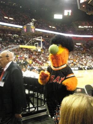 NBA Basketball Mascots: Miami Heat Burnie Mascot Pictures