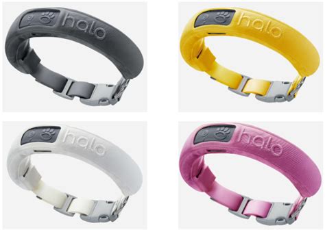 What is the Difference Between the Halo 2+ and the Halo Collar 3 – Halo Collar Help Center