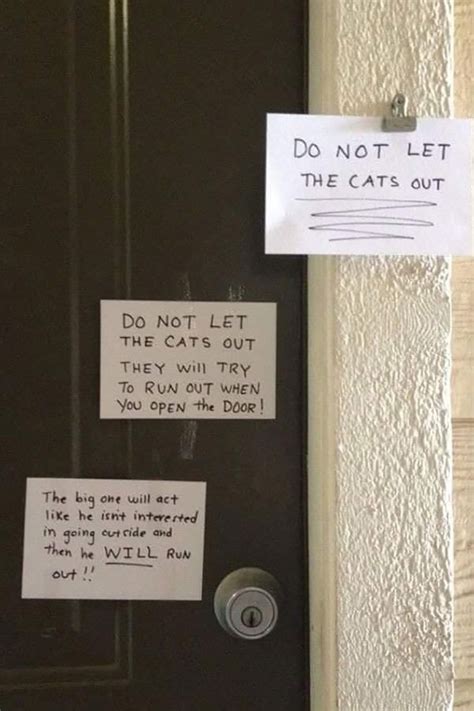 34 Times Cats Acted So Audacious That Their Owners Put Up A Sign To Warn Others About Their Ways ...