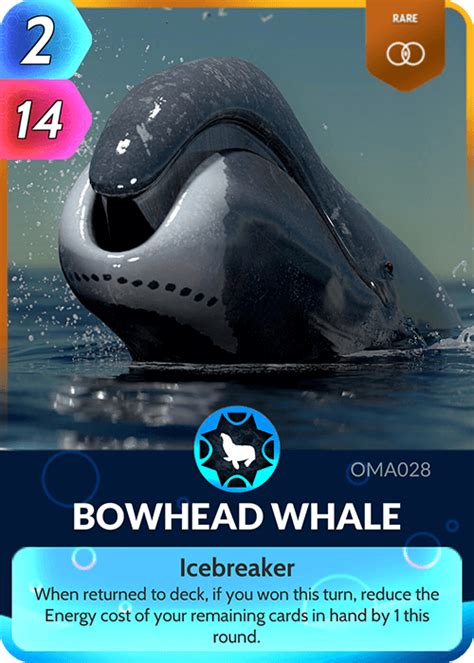 Bowhead Whale