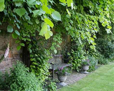 Narrow garden ideas: 10 designs to transform a long plot | Homes & Gardens