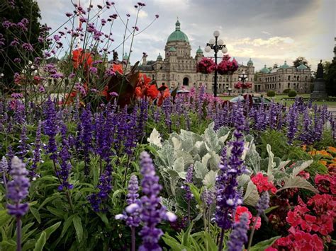 25 Best Things to do in Victoria, BC + Travel Guide