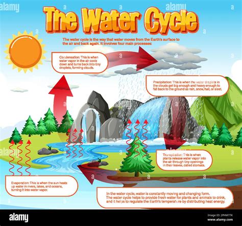 Water Cycle Diagram And Explanation