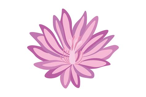 Montana State Flower - Lewisia Rediviva SVG Cut file by Creative Fabrica Crafts · Creative Fabrica