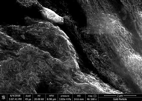 Scanning Electron Microscope image of Nylon 66+ MWCNT with 15% global ...