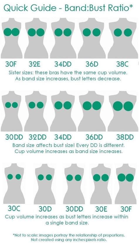 16 Super Helpful Charts If You're Blessed In The Boob Department | Bra fitting, Bra, Fashion