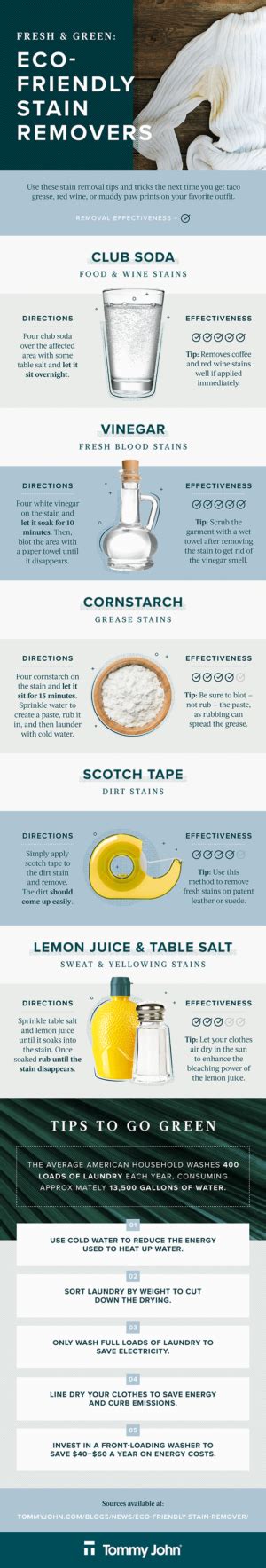 Infographic: Eco-Friendly Stain Removers - Earth911