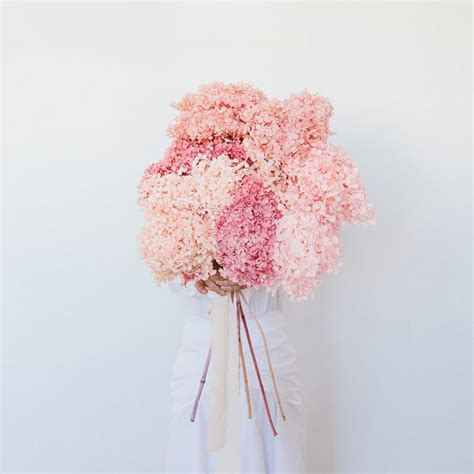 21 Best Florists Melbourne | TOT: HOT OR NOT